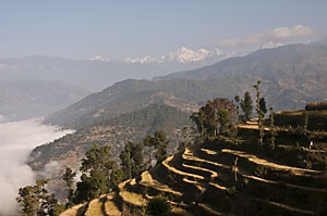 yamuna danda